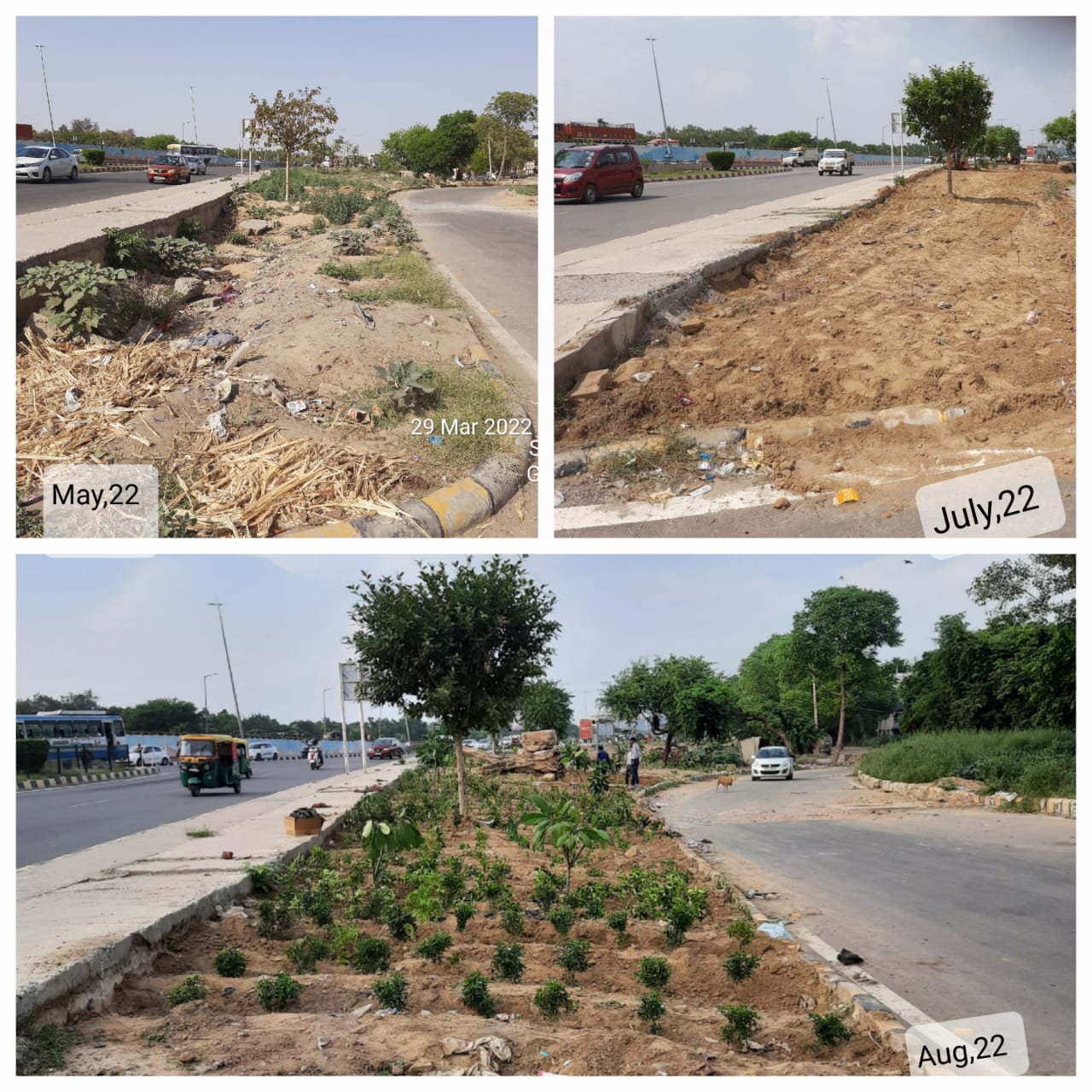 Aranya green belt community plantation activity