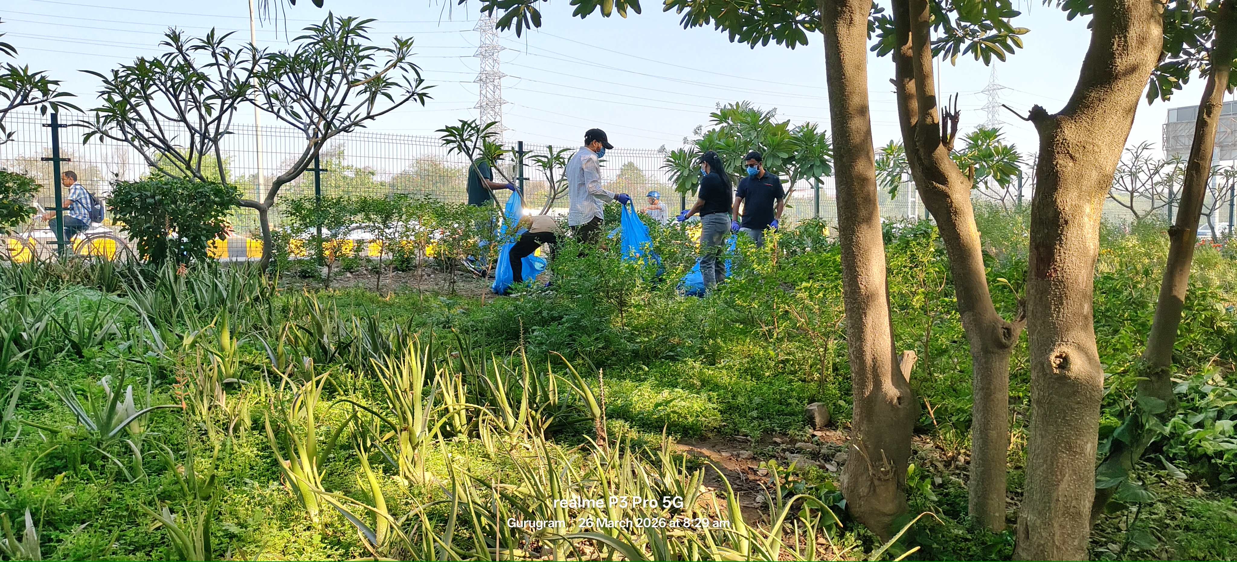 Aranya green belt restoration work in progress