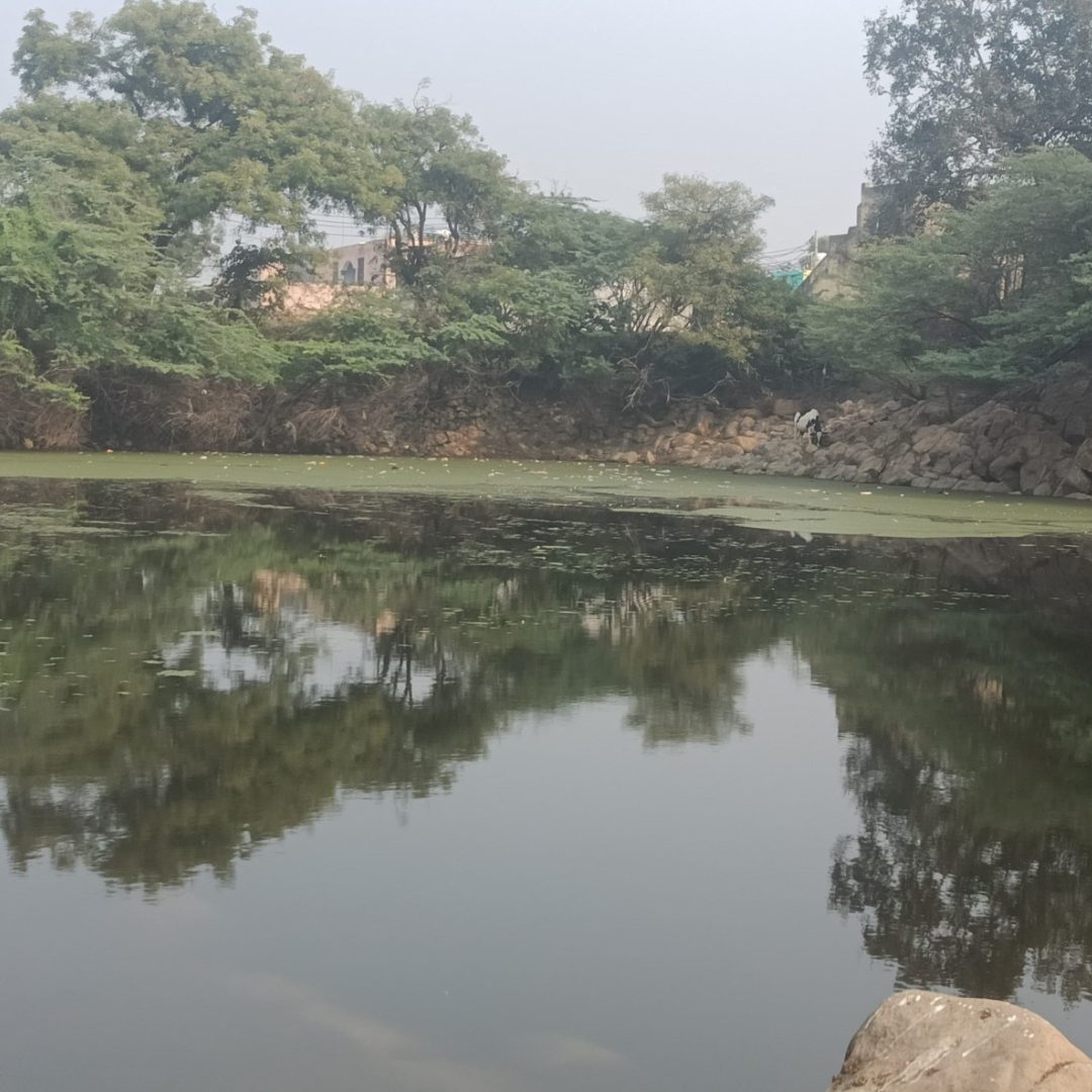 Bhandwari water body restoration and revitalization