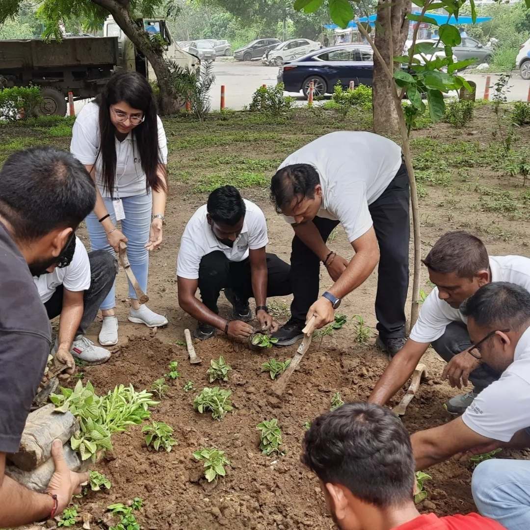 High-energy plantation drive