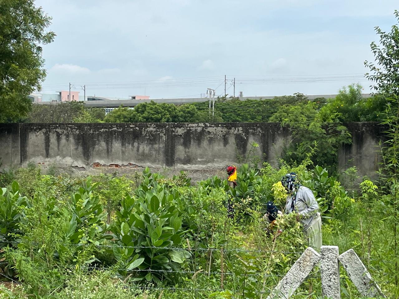 Barren industrial-edge site in Sector 16A before forest development