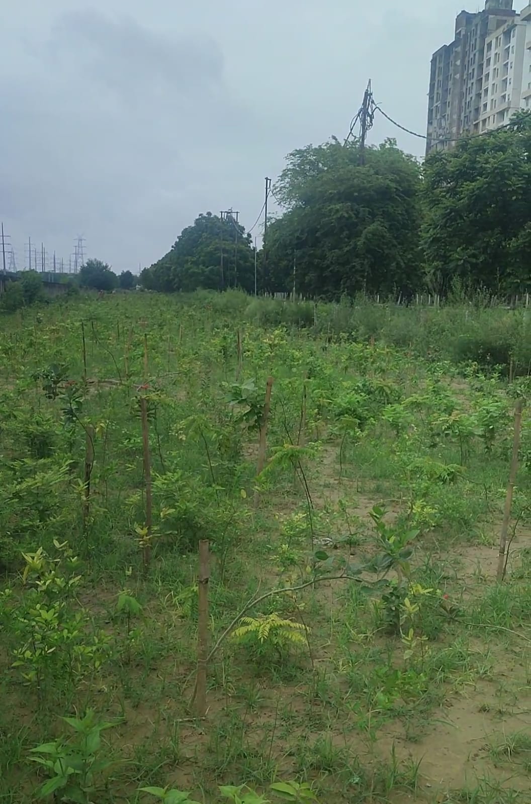 Volunteer immersions at GNIDA